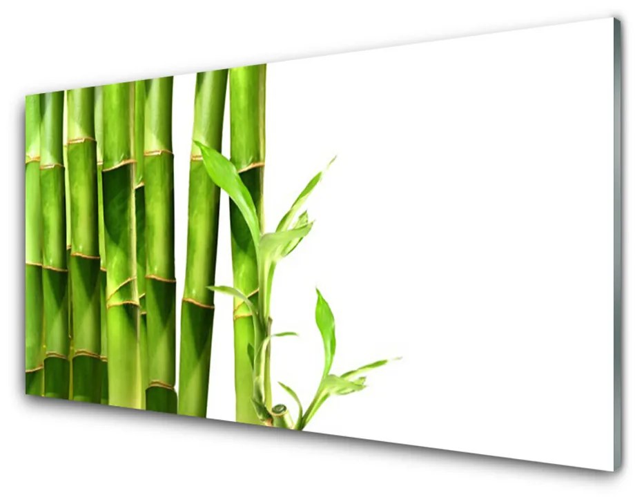 Panou sticla bucatarie Bamboo Floral Verde Alb