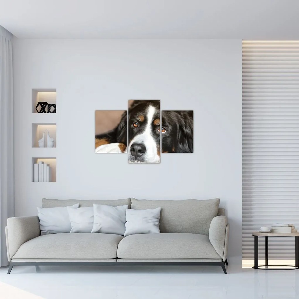 Tablou cu câine (90x60 cm)