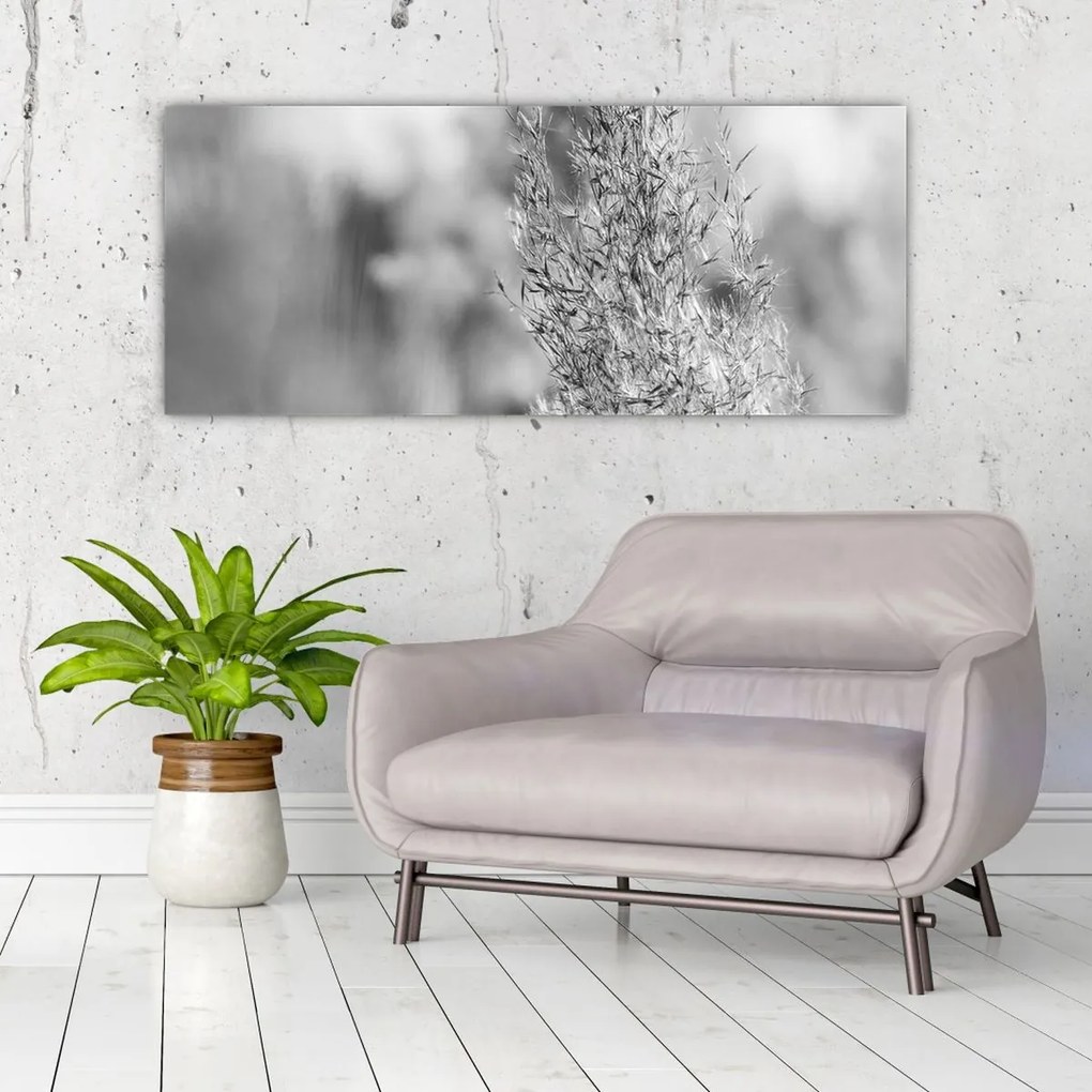 Tablou - Iarbă de pampas Boho (120x50 cm)