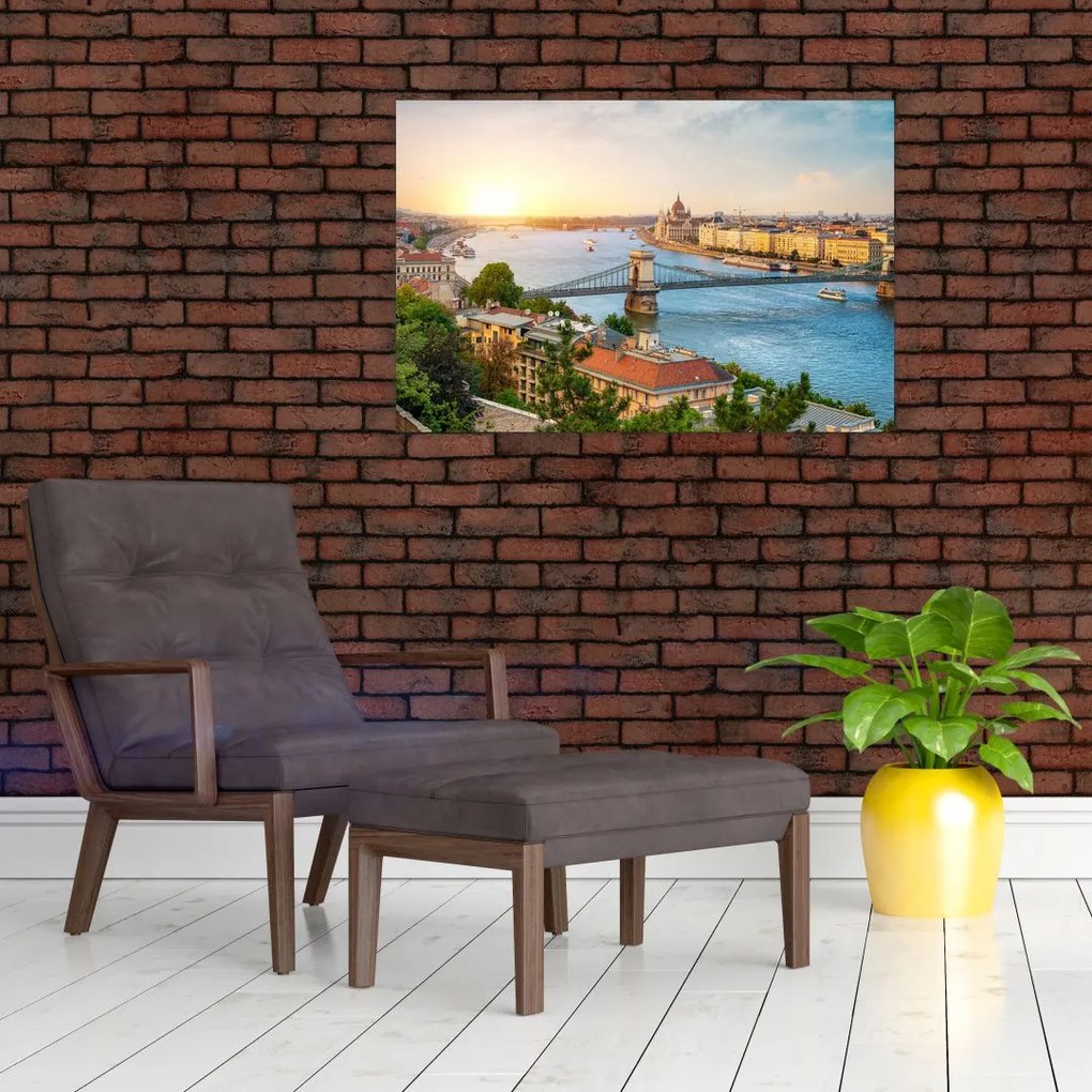 Tablou cu orașul Budapesta și râu (90x60 cm)