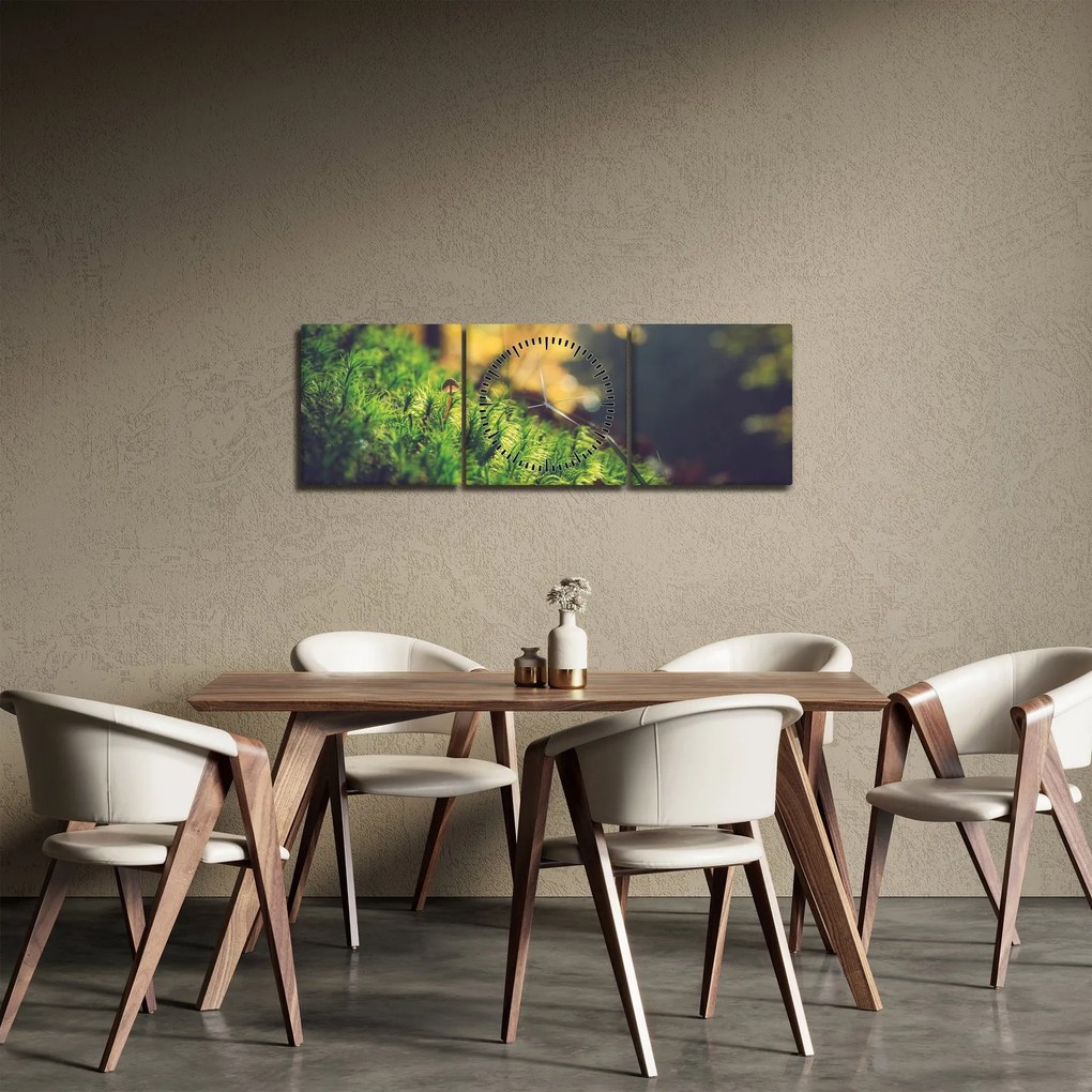 Tablou - Ciupercă și muschi (cu ceas) (90x30 cm)