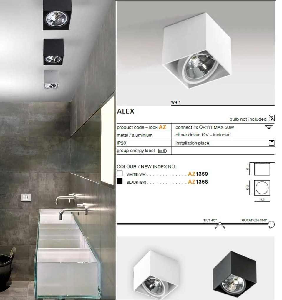 Spot aplicat directionabil de tavan/plafon ALEX alb ZZ AZ1359