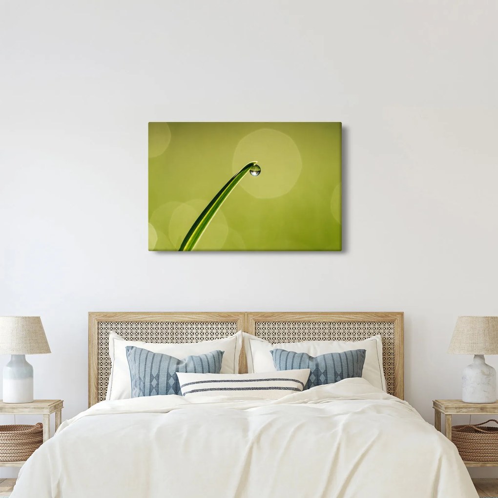 Tablou cu picătură de apă pe iarbă (90x60 cm)