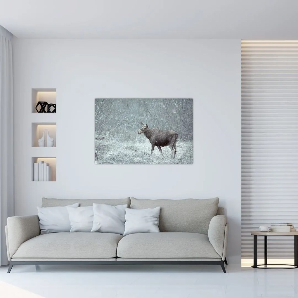 Tablou - Elan într-o pădure înzăpezită (90x60 cm)