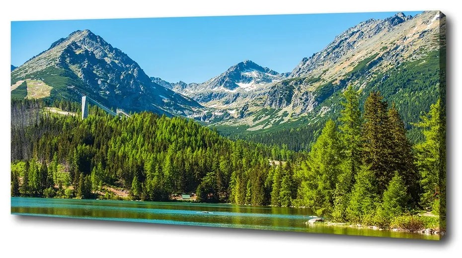 Tablou pe pânză Lacul în munți
