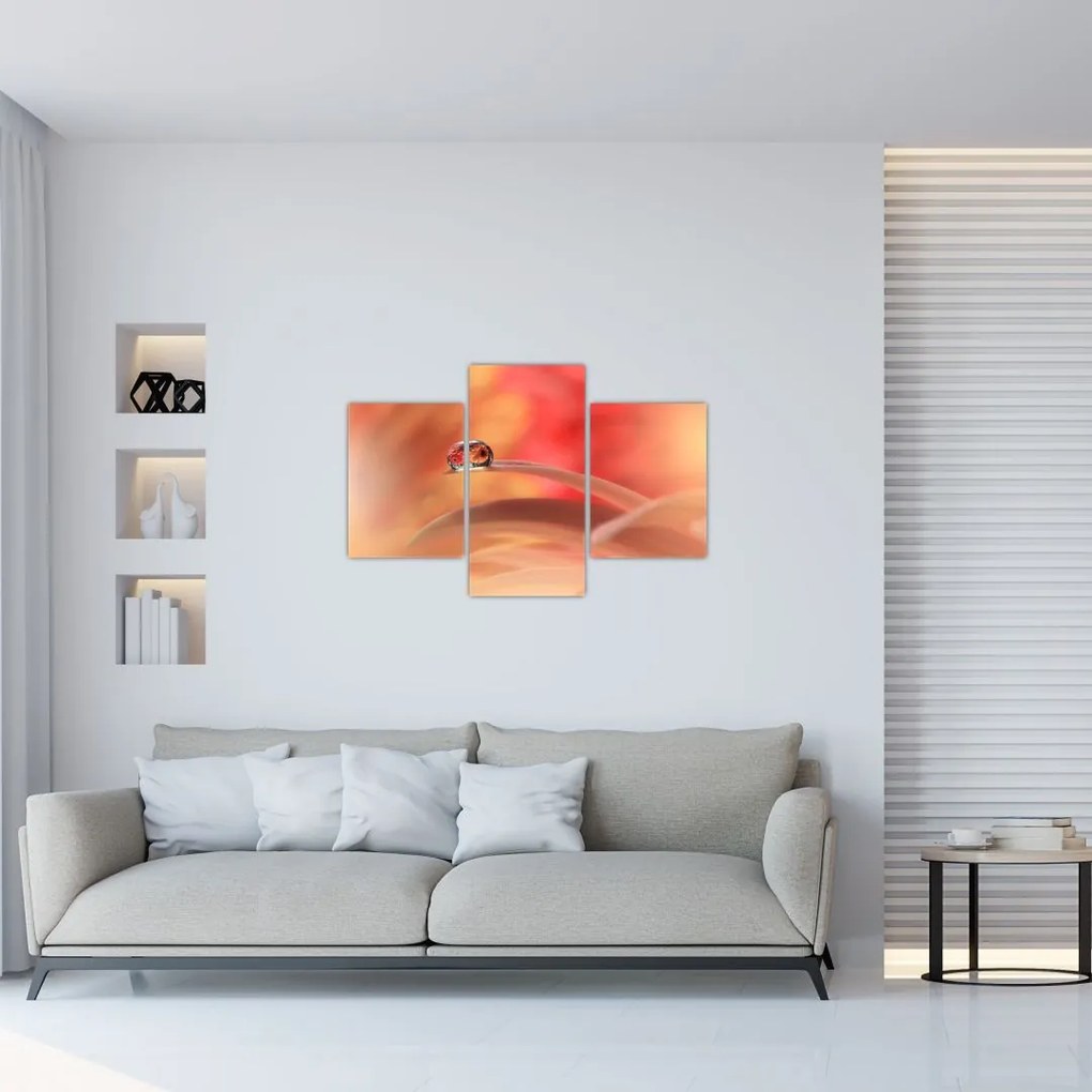 Tablou picăturii de rouă pe floare (90x60 cm)