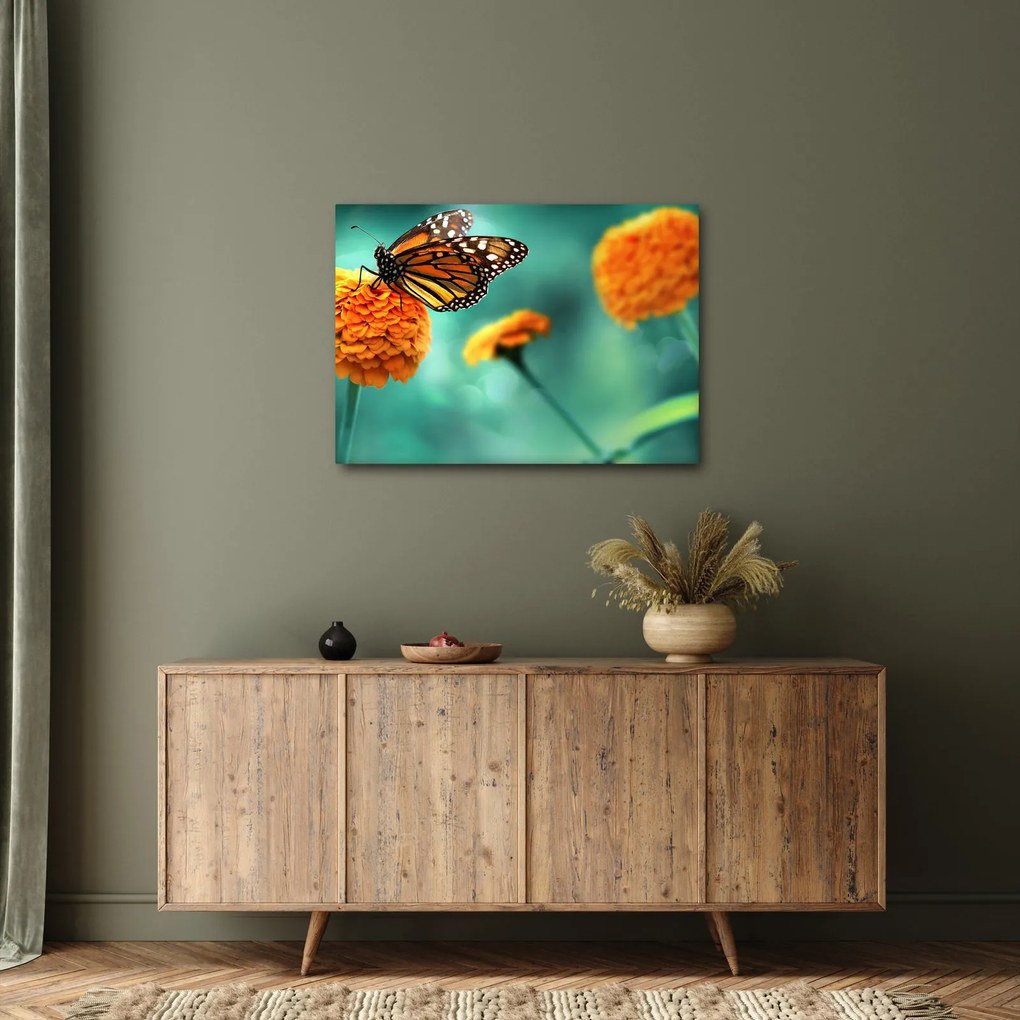 Tablou cu fluture (70x50 cm)