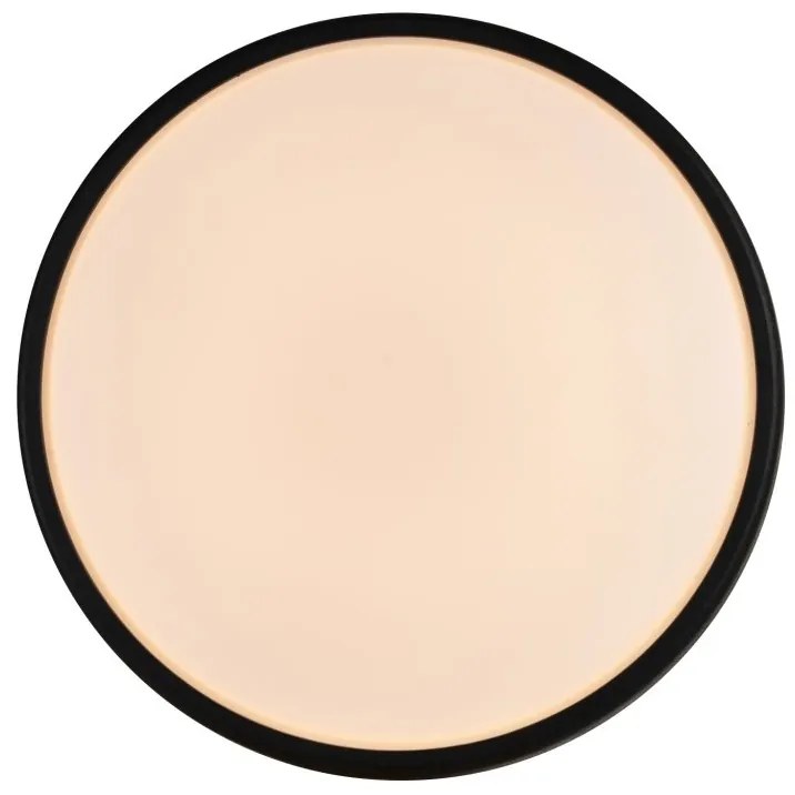 Aplica de perete / tavan exterior IP54 Oliver Black