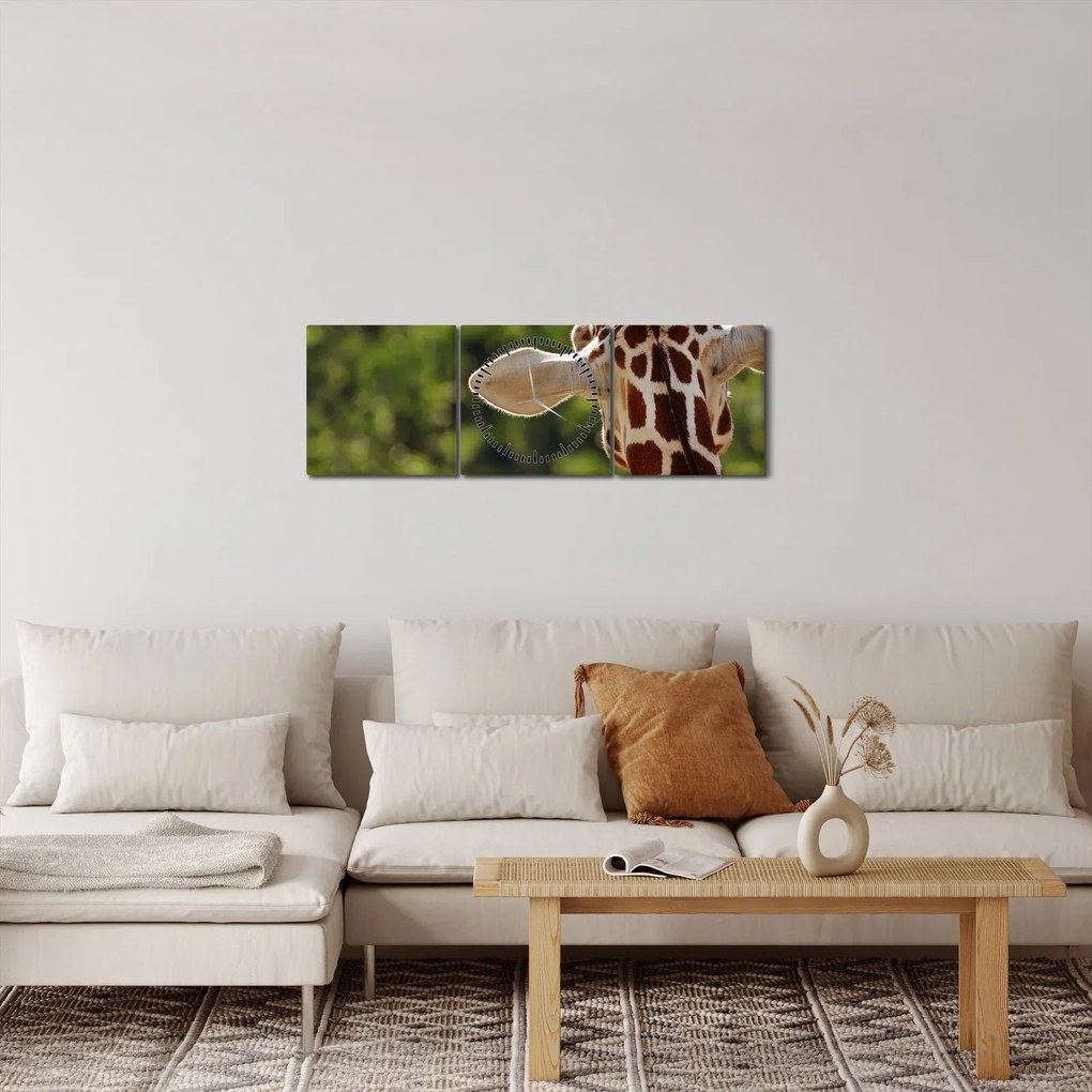 Tablou cu girafă din spate (cu ceas) (90x30 cm)