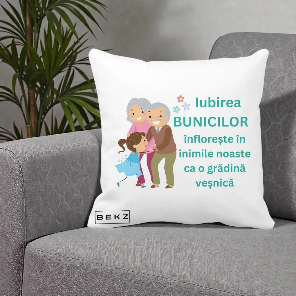 Cadou pentru Bunici - Perna Personalizata Bunicii Iubirea Infloreste cu Nepoata Teal, 40x40 cm, Alba Mata, Husa Detasabila, Perna Inclusa, BEKZ®