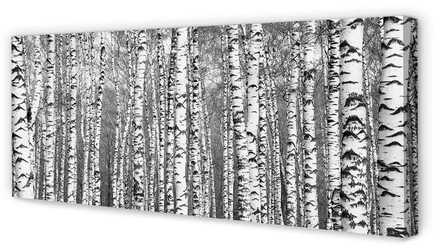 Tablouri canvas copac alb-negru
