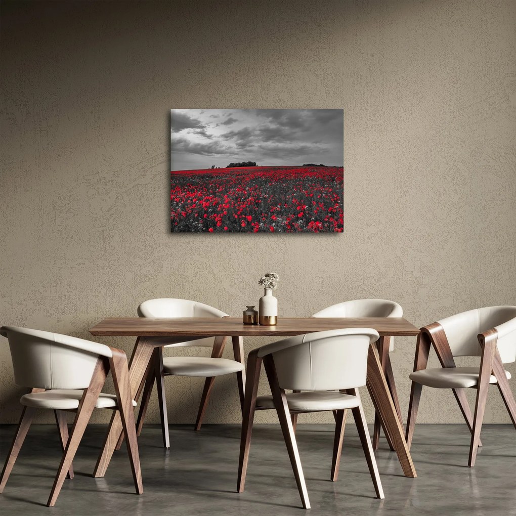 Tablou cu maci (70x50 cm)
