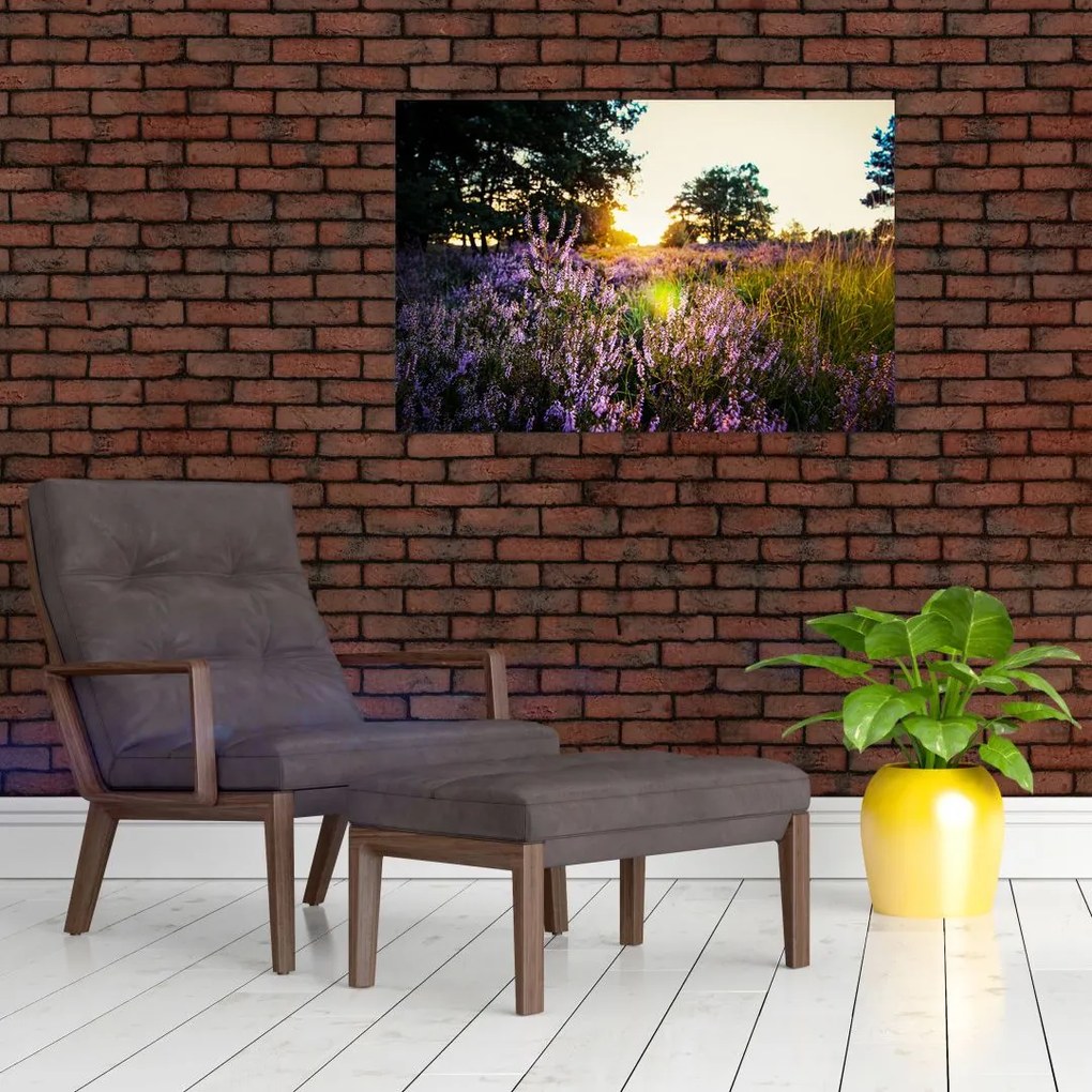 Tablou - Câmp cu lavandă (90x60 cm)