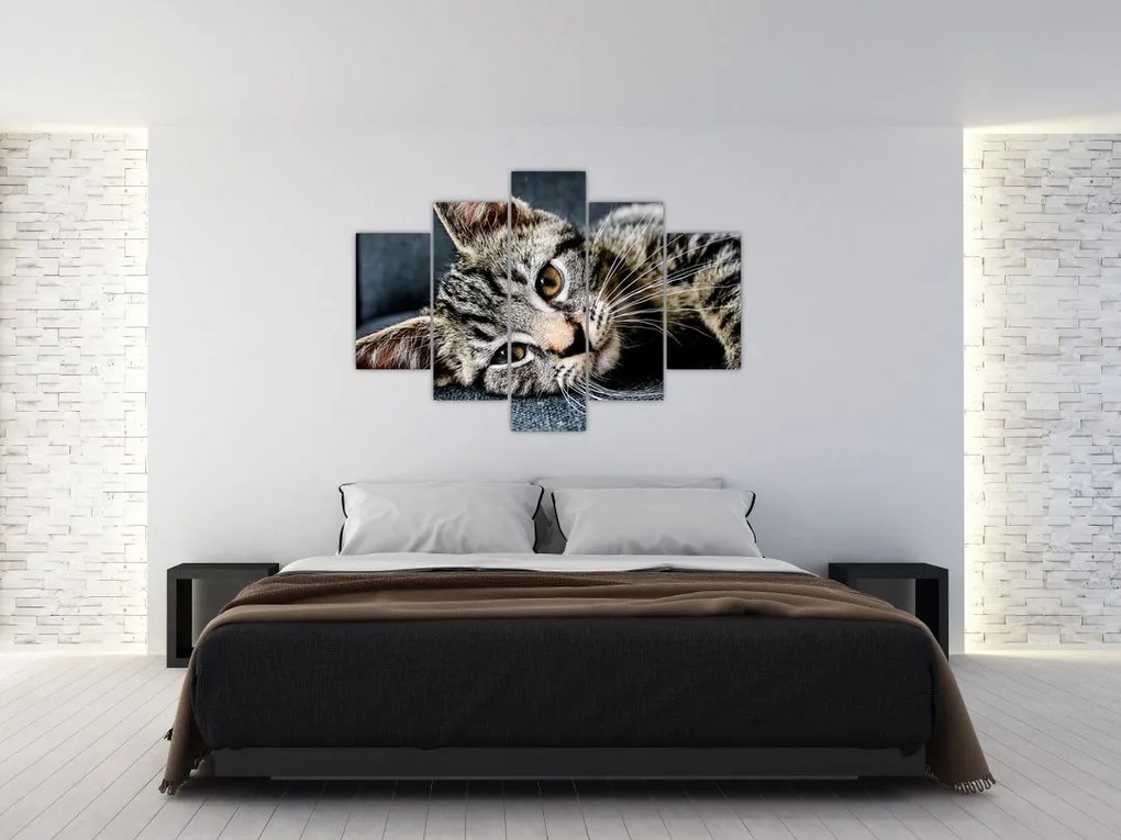 Tablou - Pisoi (150x105 cm)