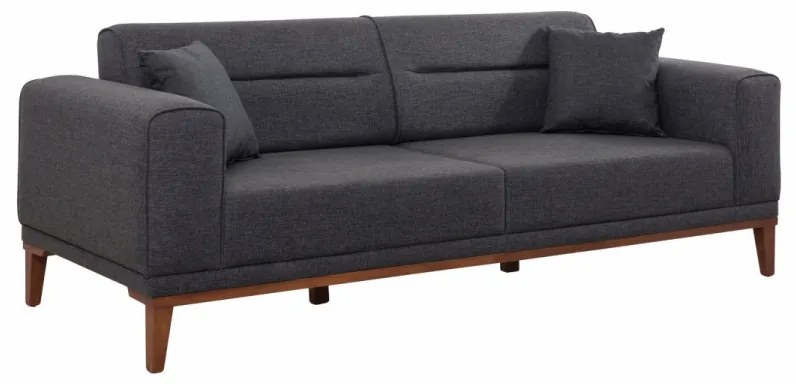 Set Canapea Extensibilă si Fotoliu Liones Tepsili, Antracit