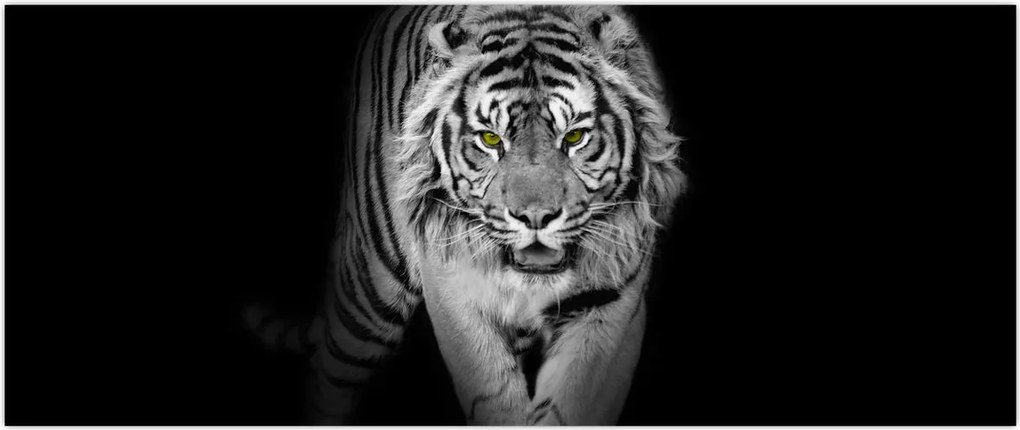 Tablou - Tigru cu ochi galbeni (120x50 cm)