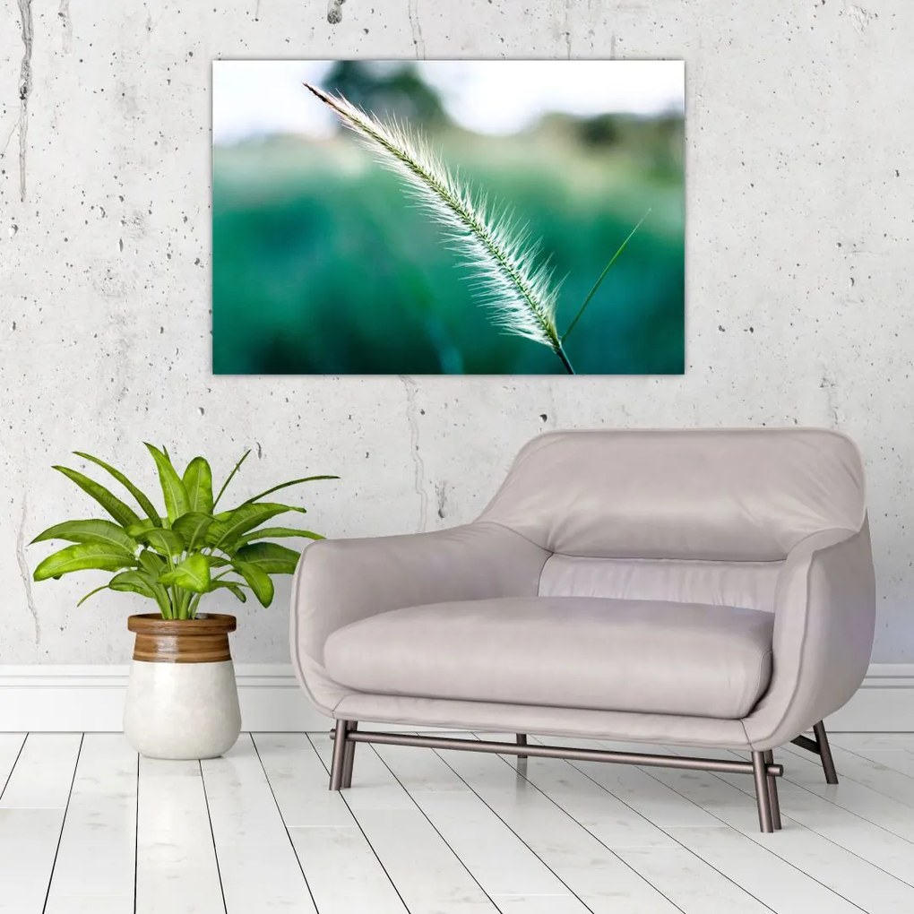 Tablou cu fir de iarbă (90x60 cm)