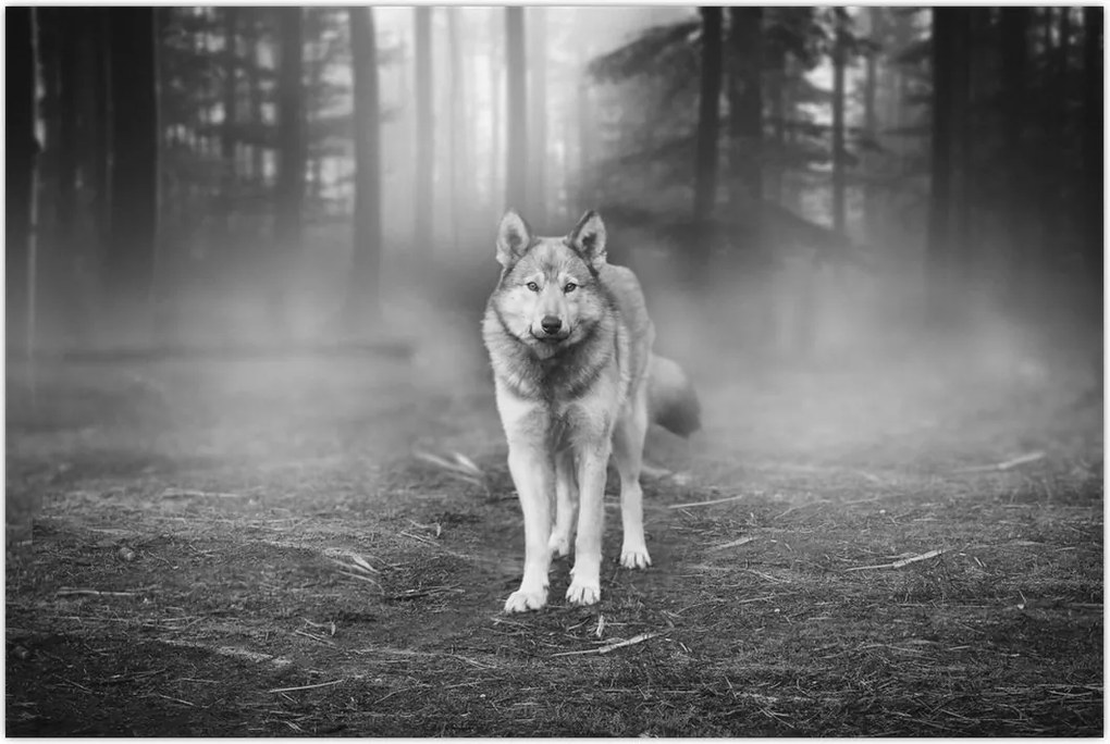 Tablou - Paznicul pădurii (90x60 cm)