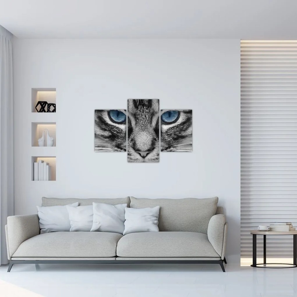 Tablou cu pisica (90x60 cm)
