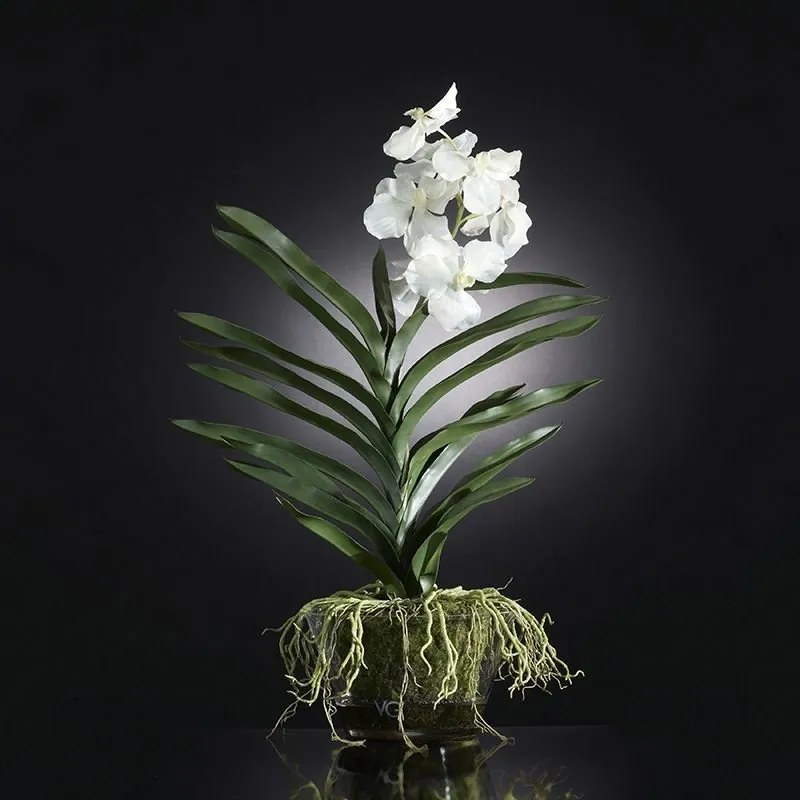 Aranjament floral elegant NEW PLANT VANDA 1141133.95