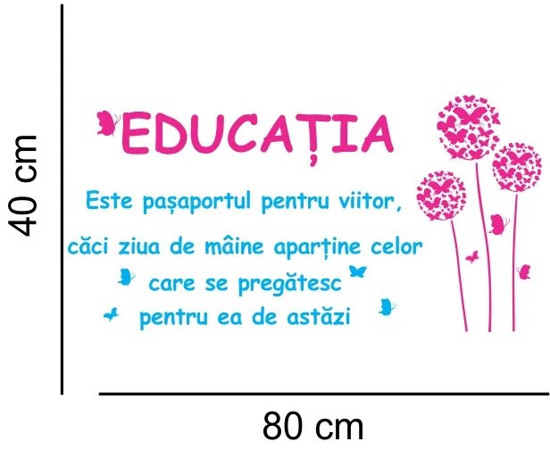 Sticker perete Educatia - Pasaport pentru viitor