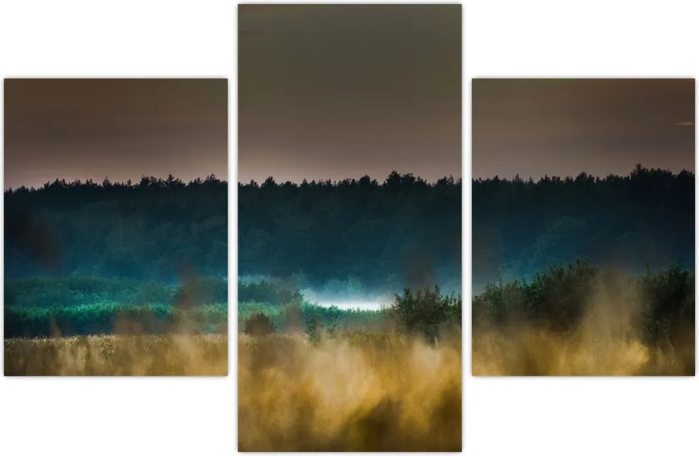 Tablou - Peisaj de munte (90x60 cm)