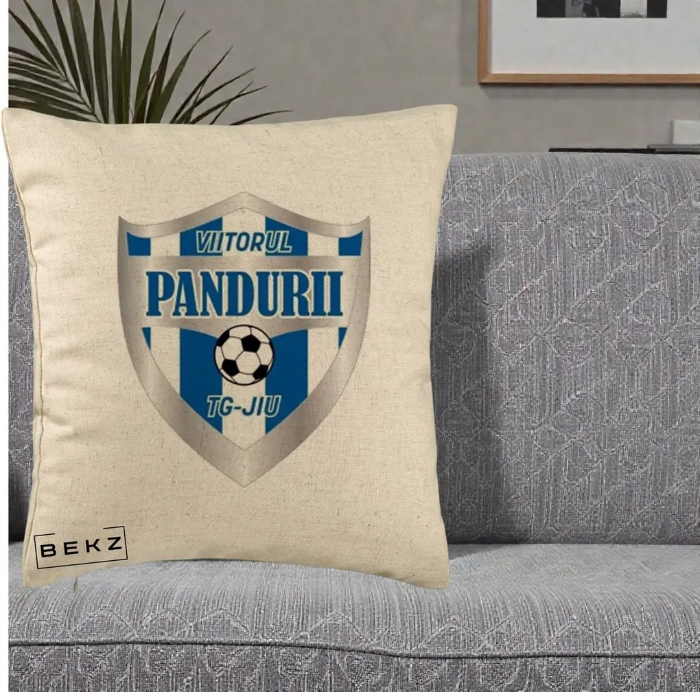 Perna Personalizata Pandurii Targu Jiu Fotbal, 40x40 cm, Bej, Husa Detasabila, Perna Inclusa, BEKZ®