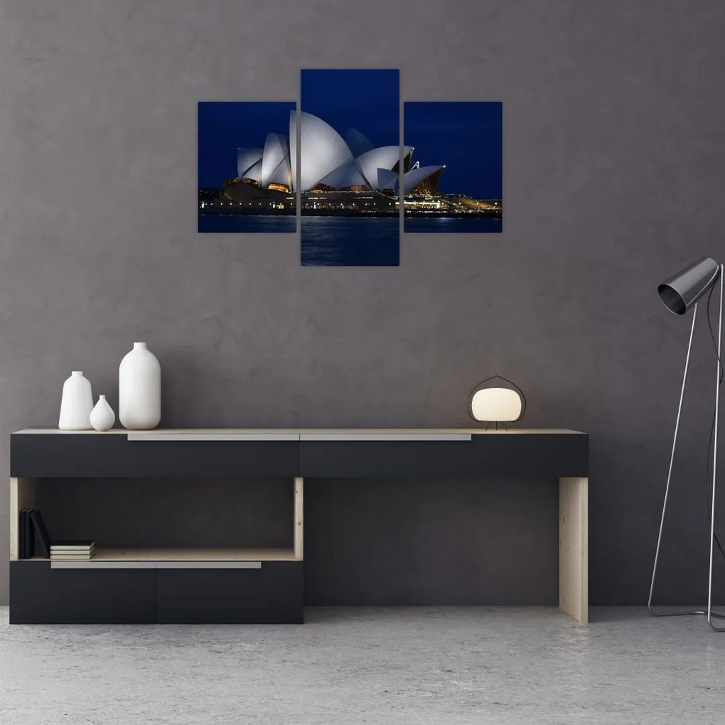 Tabloul Sydney nocturn (90x60 cm)
