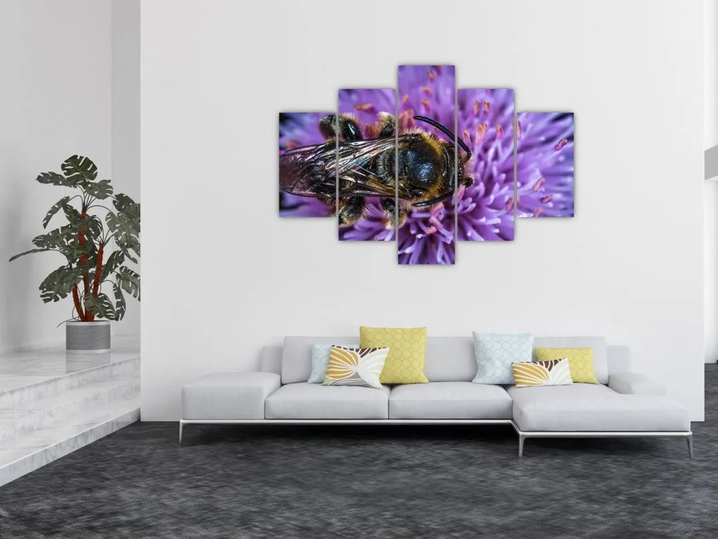 Tablou cu albina pe floare (150x105 cm)