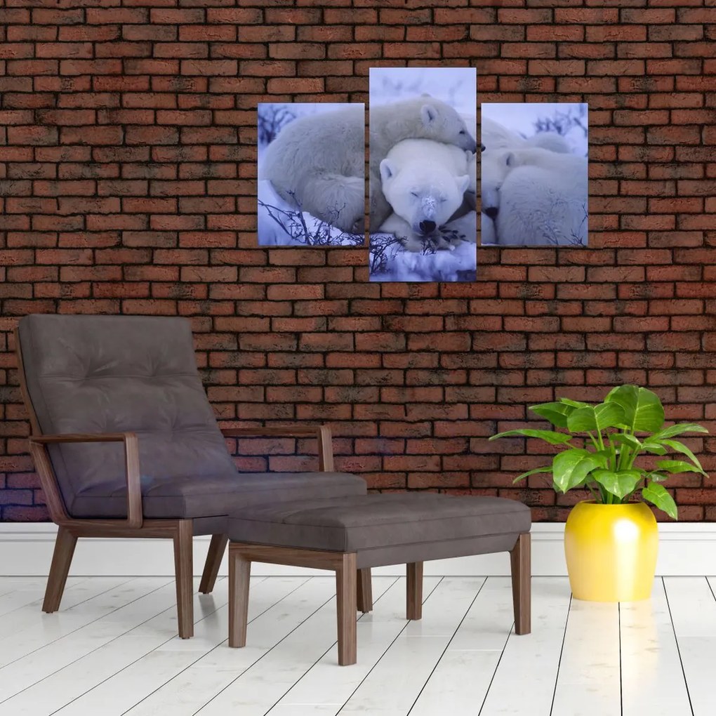 Tablou - Urși polari (90x60 cm)
