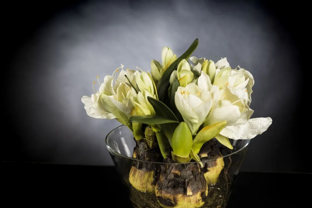 Aranjament floral mic decor festiv design LUX, VASE MASSY BULB 1140955.95