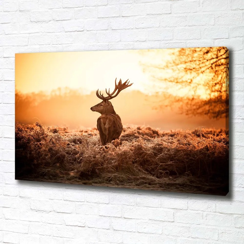 Tablouri tipărite pe pânză Sunrise deer