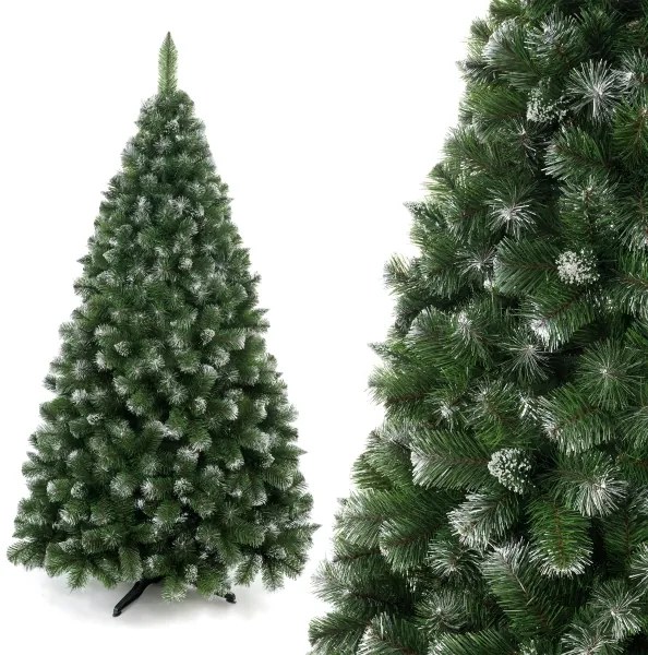 Brad de Crăciun din pin, înălțime 250 cm
