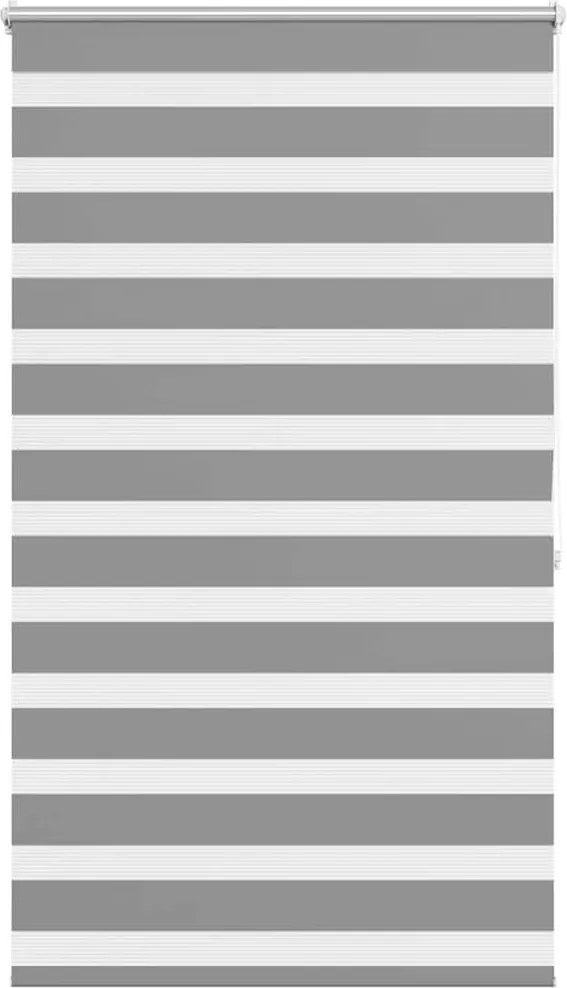 vidaXL Jaluzea Zebră 100,9x175 cm Lățime material 96,7 cm gri