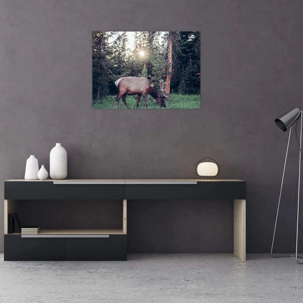 Tablou - Elan în poiană (70x50 cm)