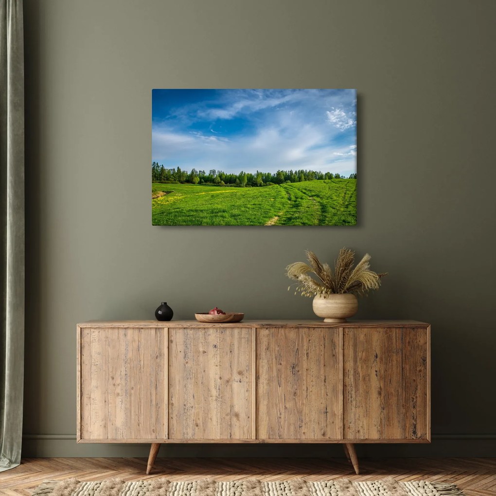 Tablou cu luncă (90x60 cm)