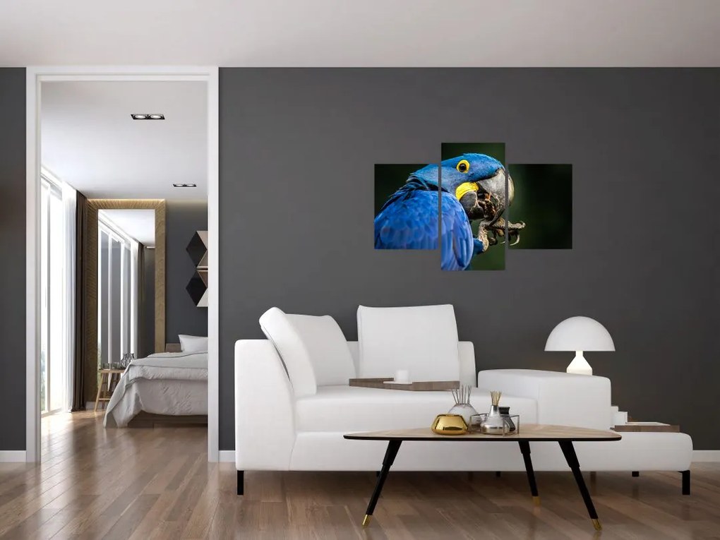 Tablou cu papagal (90x60 cm)