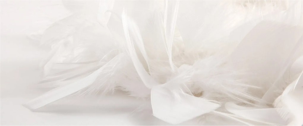 Tablou - Pană (120x50 cm)