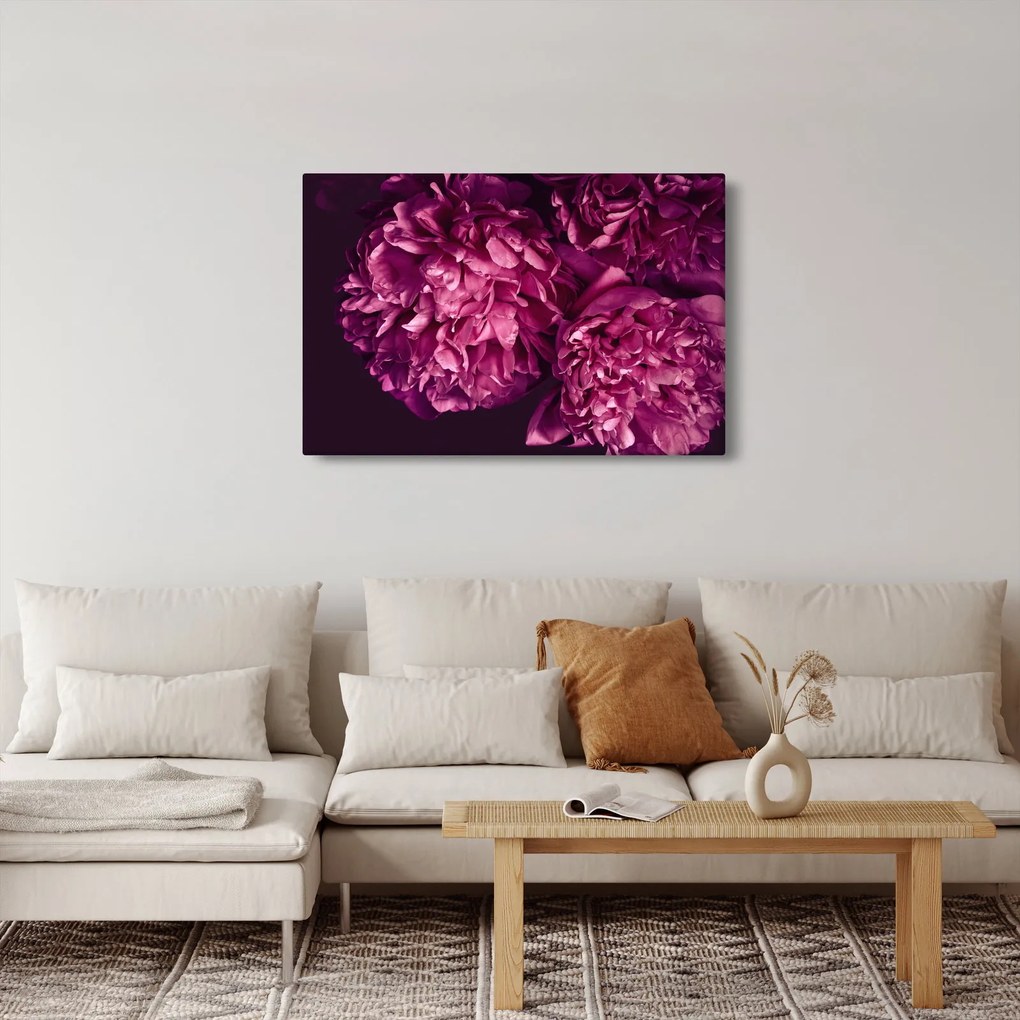 Tablou - Floarea bujorului (90x60 cm)
