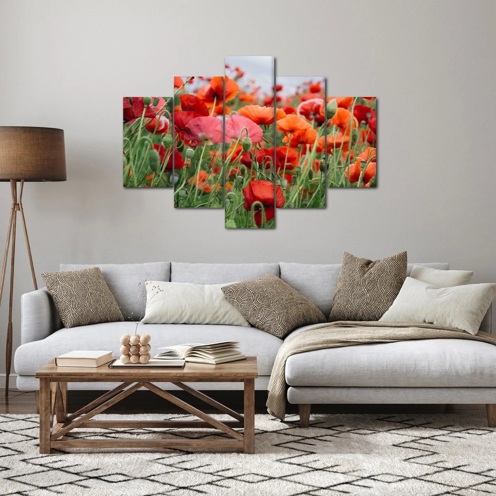 Tablou din câmp cu maci (150x105 cm)