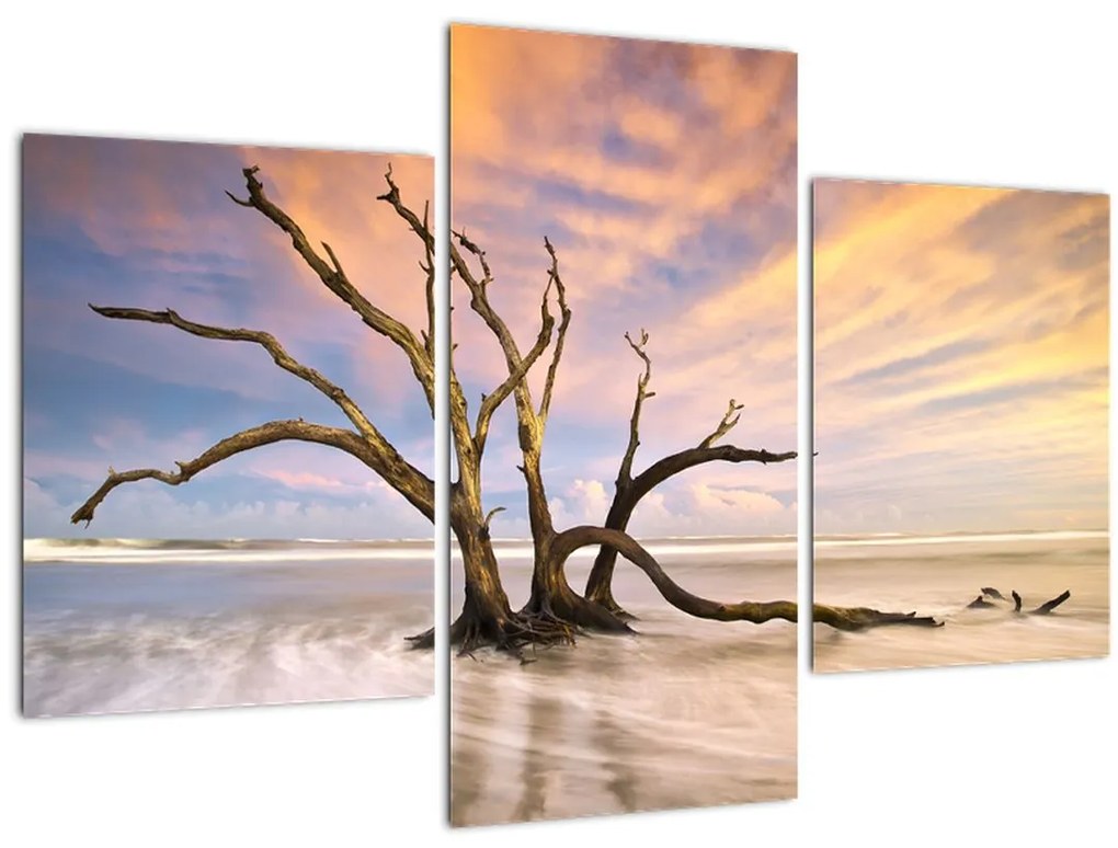 Tablou - Copacul în ocean (90x60 cm)