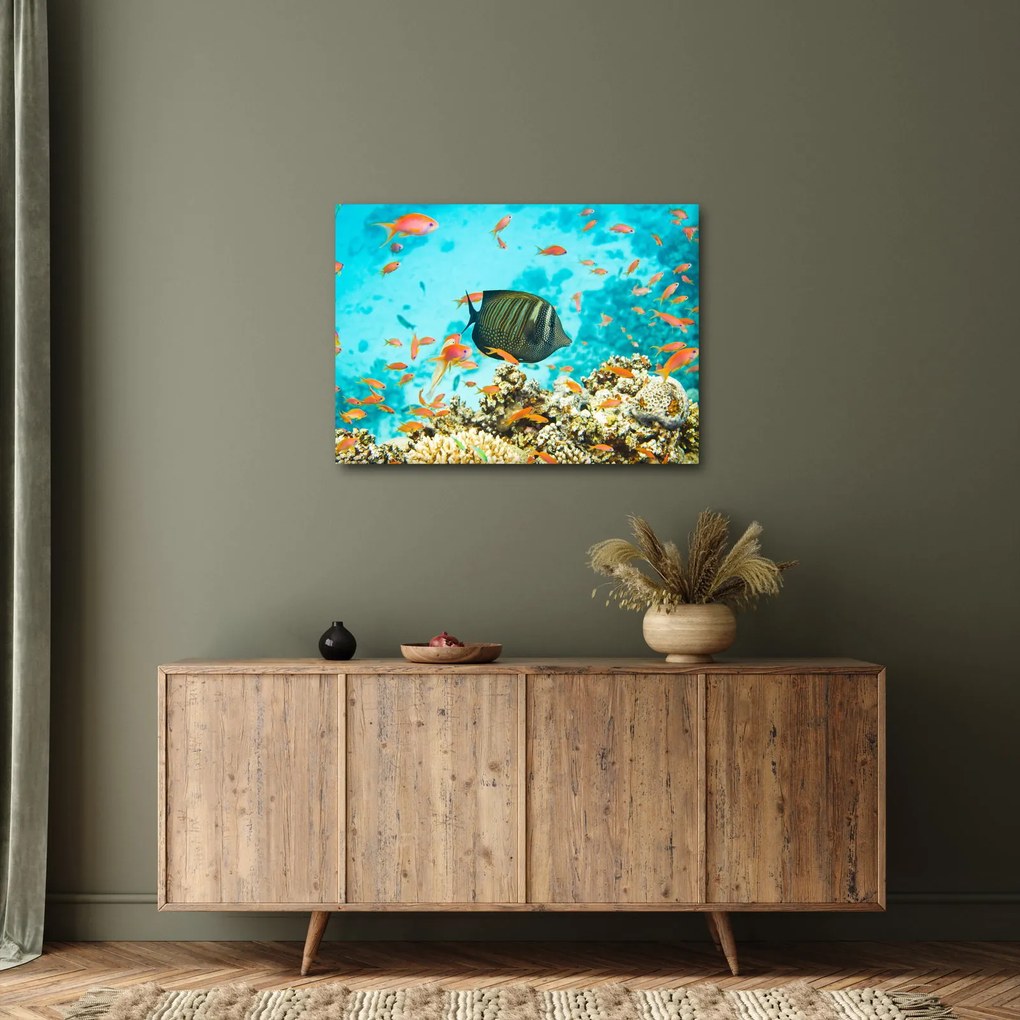 Tablou lumii submarine (70x50 cm)