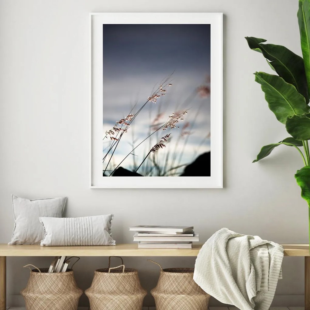 Poster - Detailu de ierburi de apă (A4)