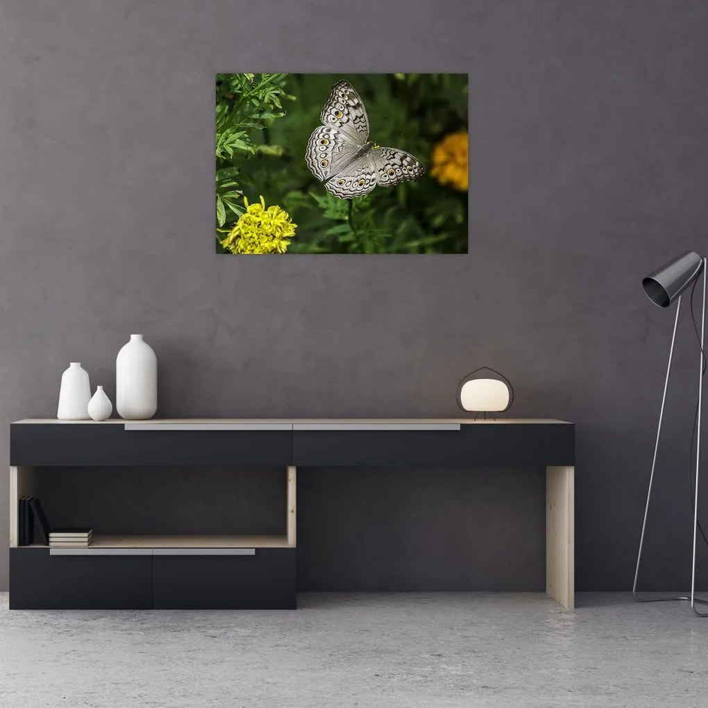 Tablou - fluture alb (70x50 cm)