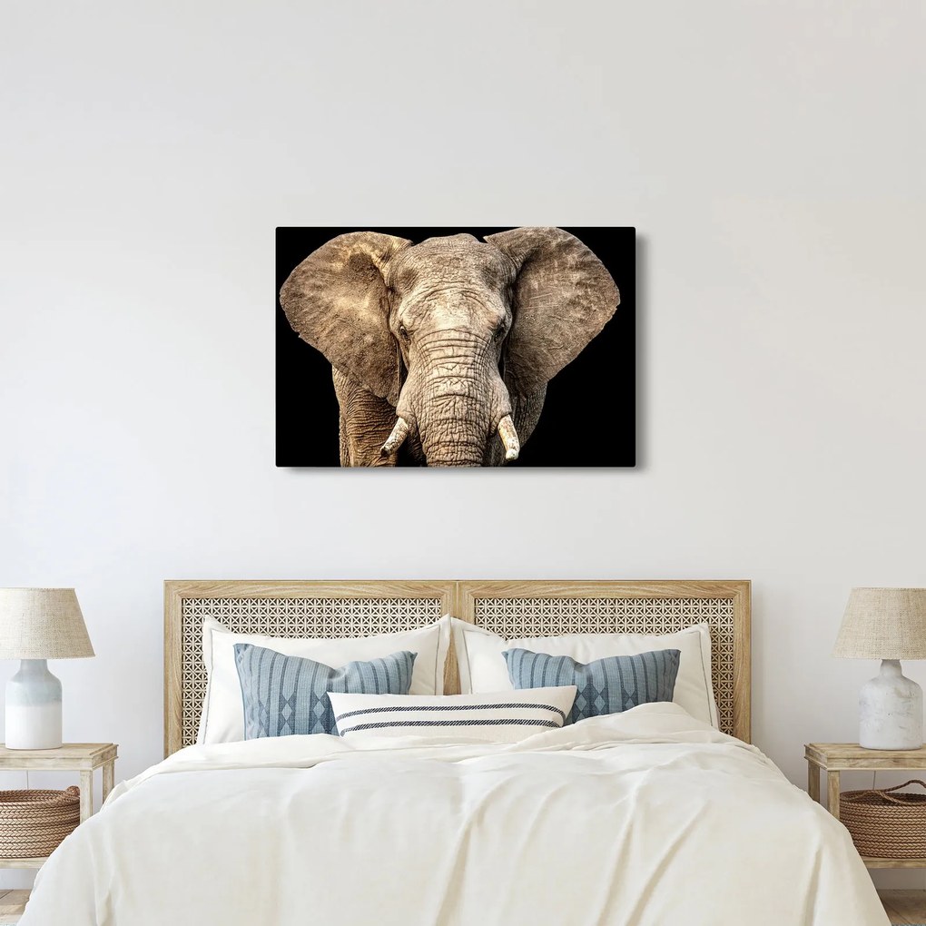 Tablou - Elefant african (90x60 cm)