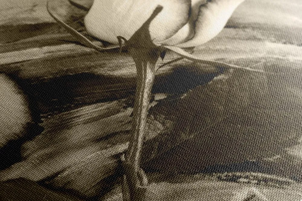 Tablou trandafir în design sepia