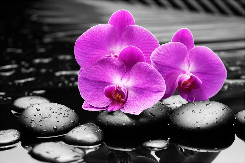Tablou - Orhidee violet (90x60 cm)