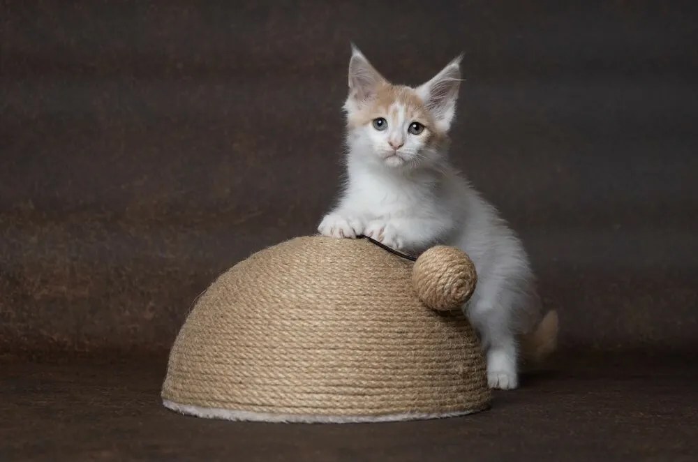 Flamingo Veda Scărpinător pentru pisici, 26 x 14 x 26 cm