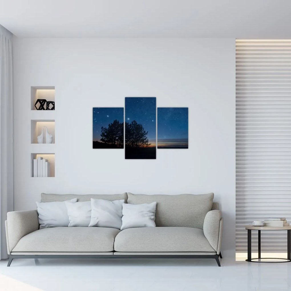 Tablou cu copaci noapte (90x60 cm)