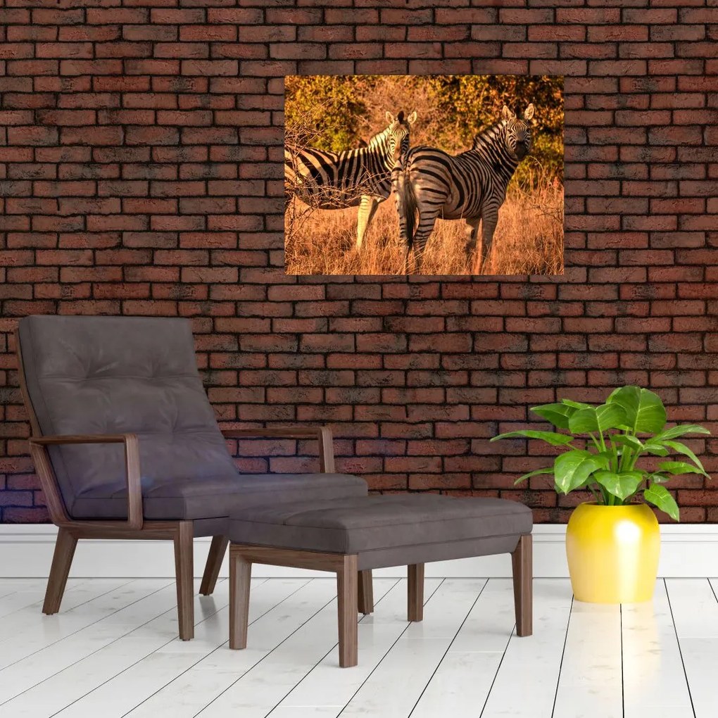 Tablou pe sticlă cu zebre (70x50 cm)